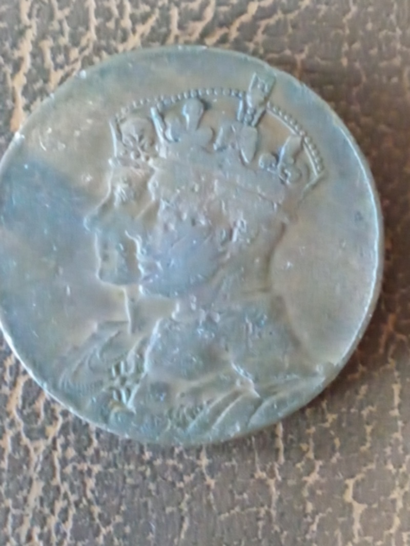 Any-Idea-What-This-Might-Be?