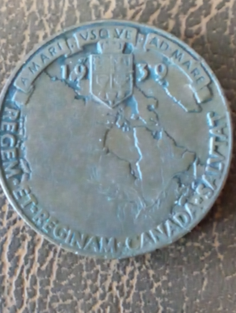 Any-Idea-What-This-Might-Be?