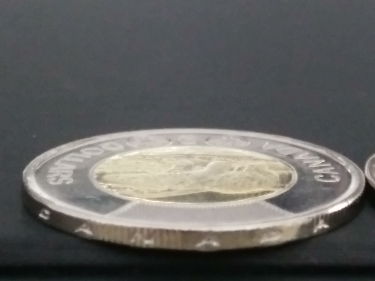 2020-Toonie.-Upside-Down-Lettering-On-Collar