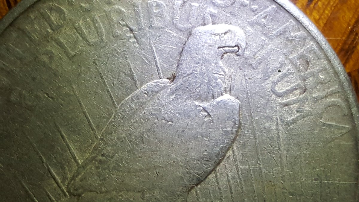 1923-S-Peace-Dollar-Extra-Ray-Wrong-Way?-Ideas?
