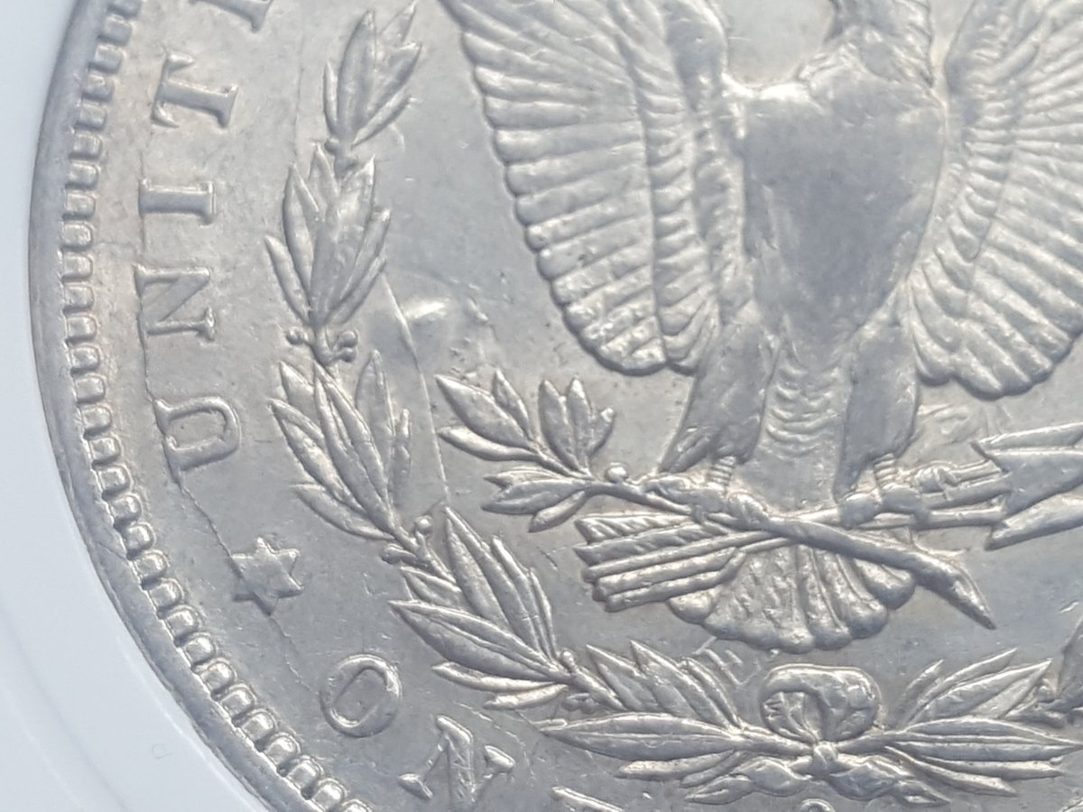 1891-O-Morgan-Dollar,-VAM-1A.-Which-Die-Stage?