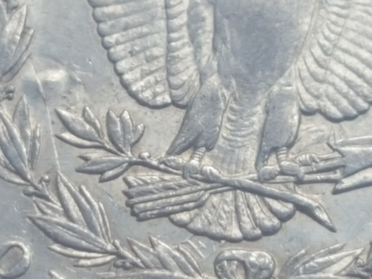 1891-O-Morgan-Dollar,-VAM-1A.-Which-Die-Stage?