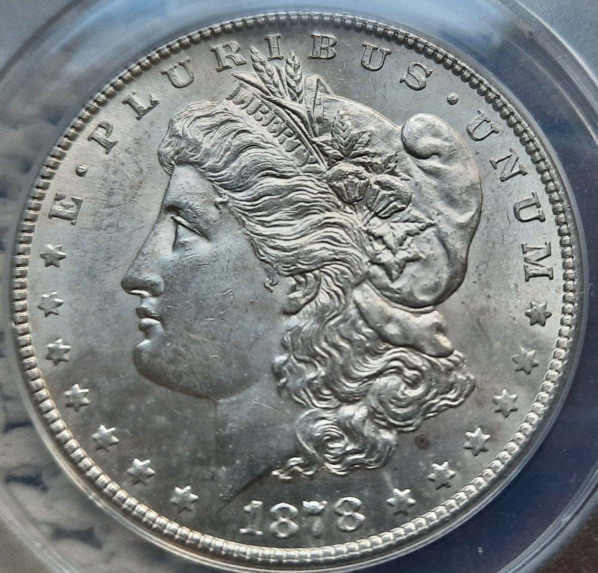 1878-S-Morgan-Dollar-VAM-6-DDO.-What-Grade-Would-You-Give?