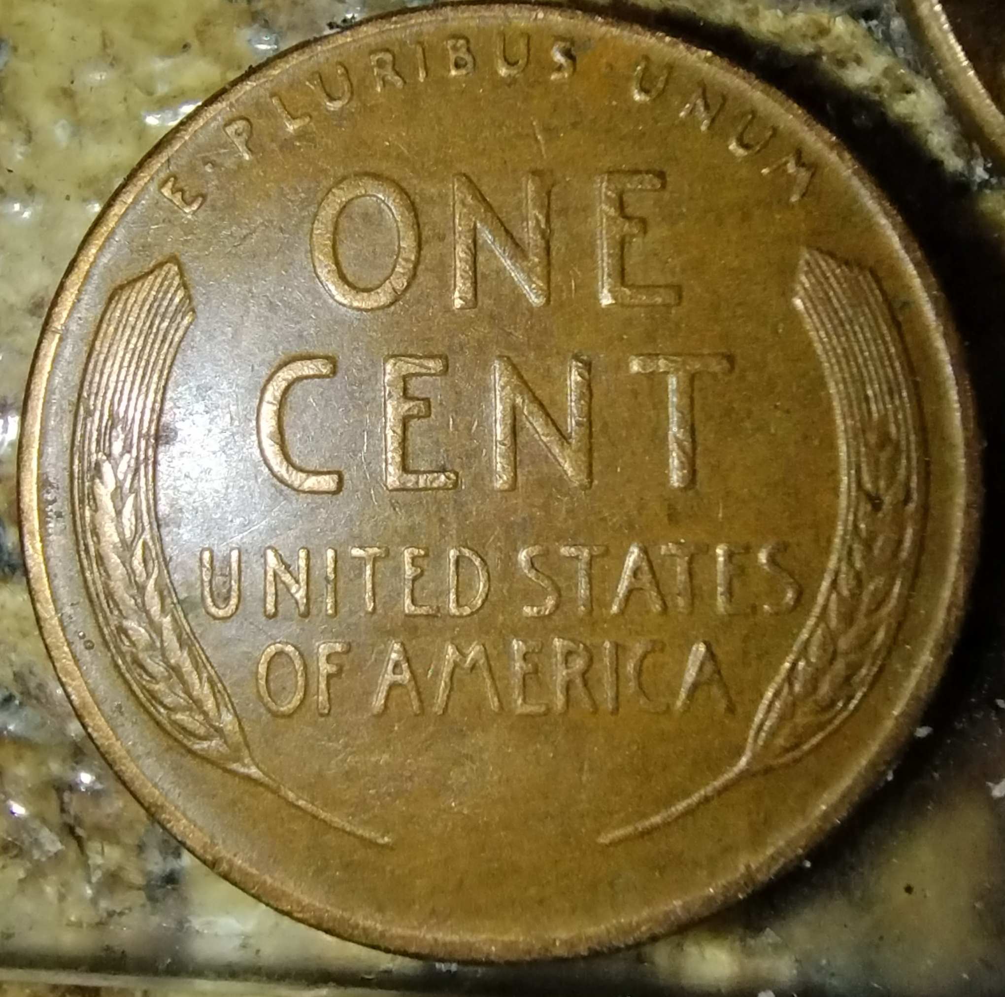 1955-D-Penny-Is-This-Just-MD