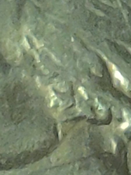 1974-D-Jefferson-Nickel-New-Variety-Type.or?