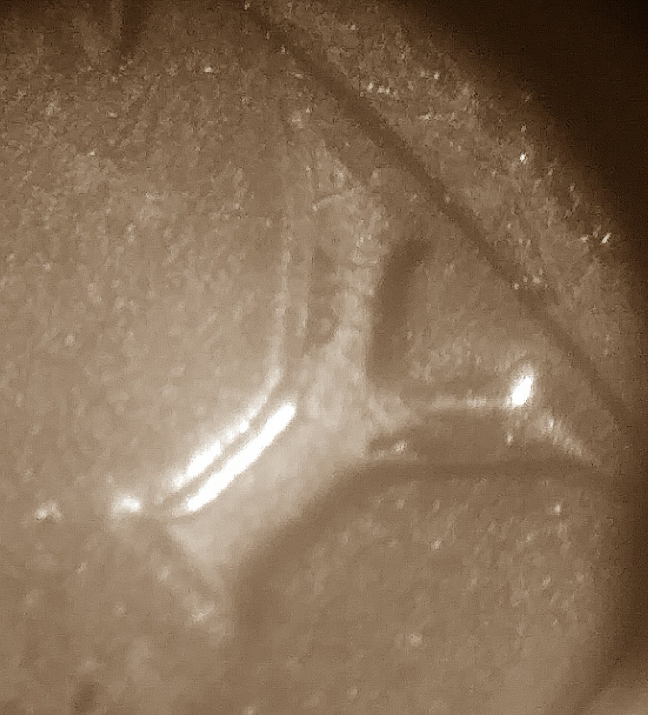 1976-D-Bicentennial-Quarter-DDO-FS-101?