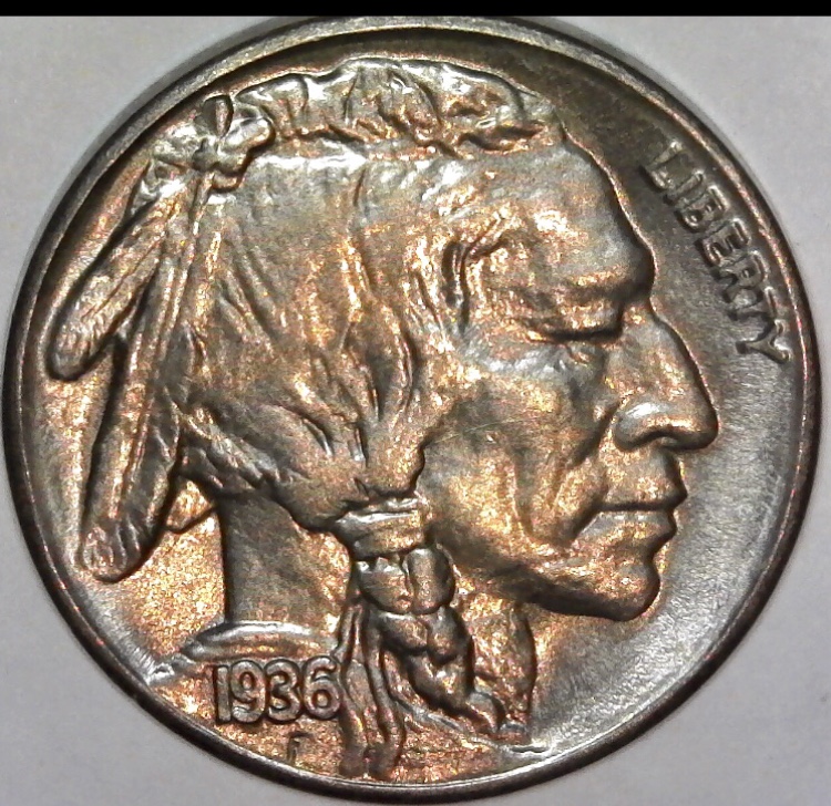 1936-S-Buffalo-Nickel-Grade-Opinions