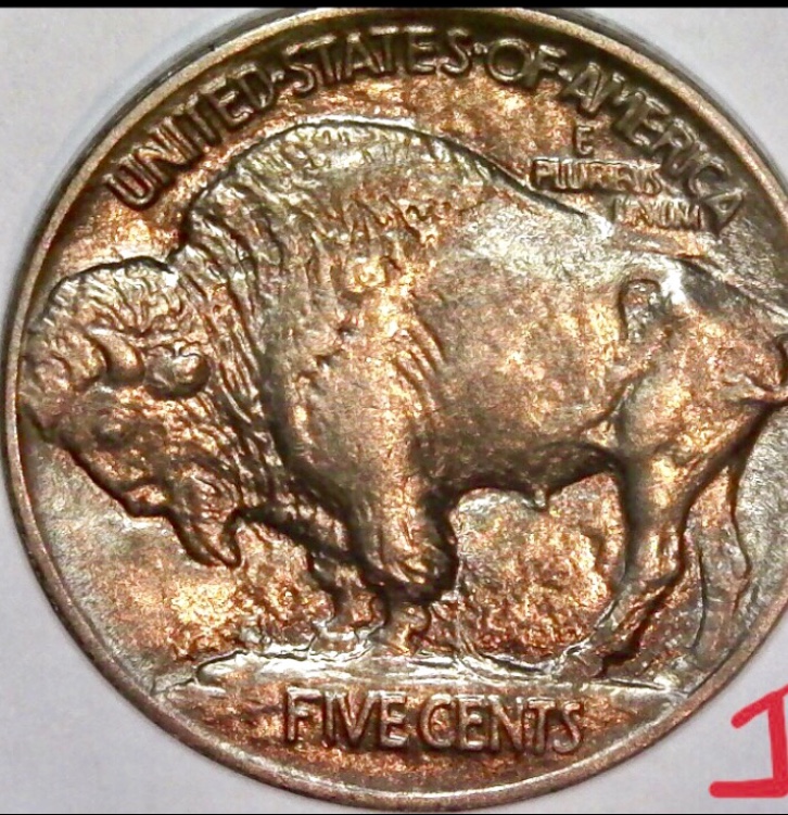 1913-Type-1-Buffalo-Nickel-Proof?