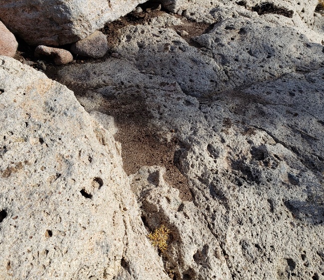 Bedrock,-Blacksand,-And-Mountain-Lions-Hummmmm!