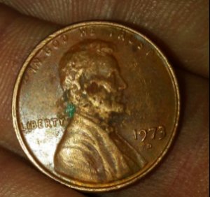 1973-D-Penny-Can-You-Help-Me-By-Telling-Me-If-You-See-Errors
