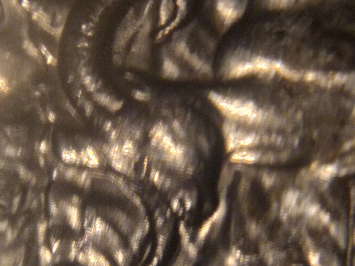 2012-Denali-Alaska-Quarter---What-Is-It-Worth?-Any-Clues?