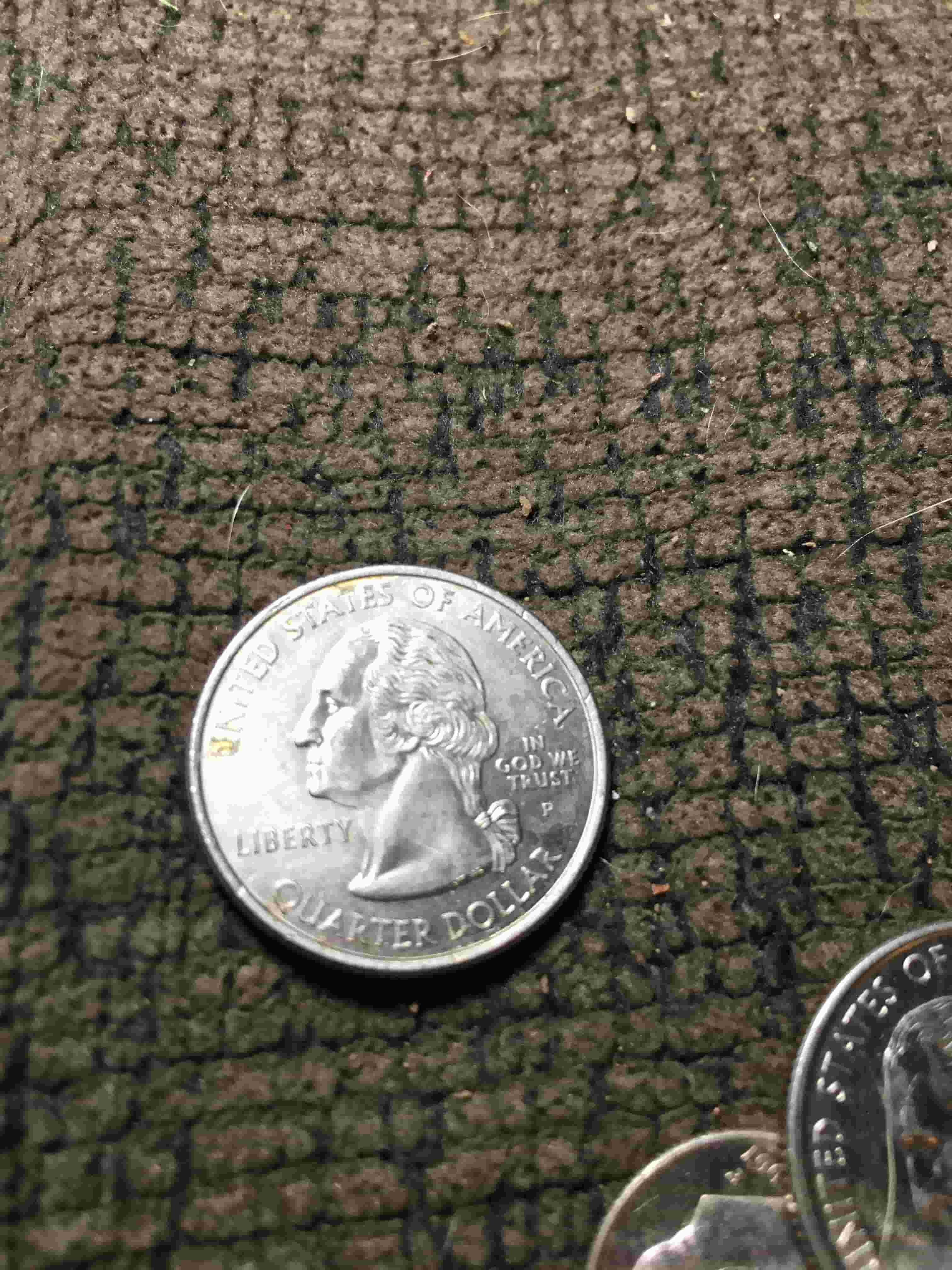 Is-This-2008-Oklahoma-Quarter-An-Error?