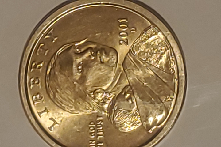 Sacagawea-Dollar-Coin-Rare