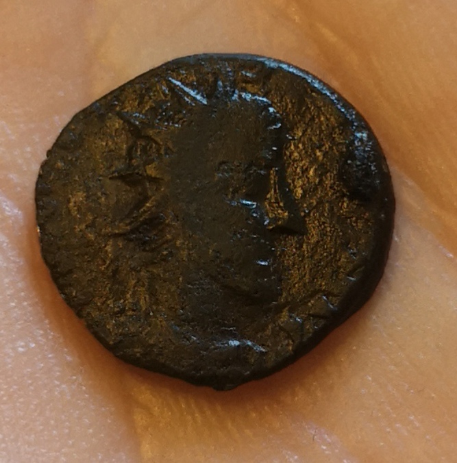 Identification-Help-On-Roman-Please