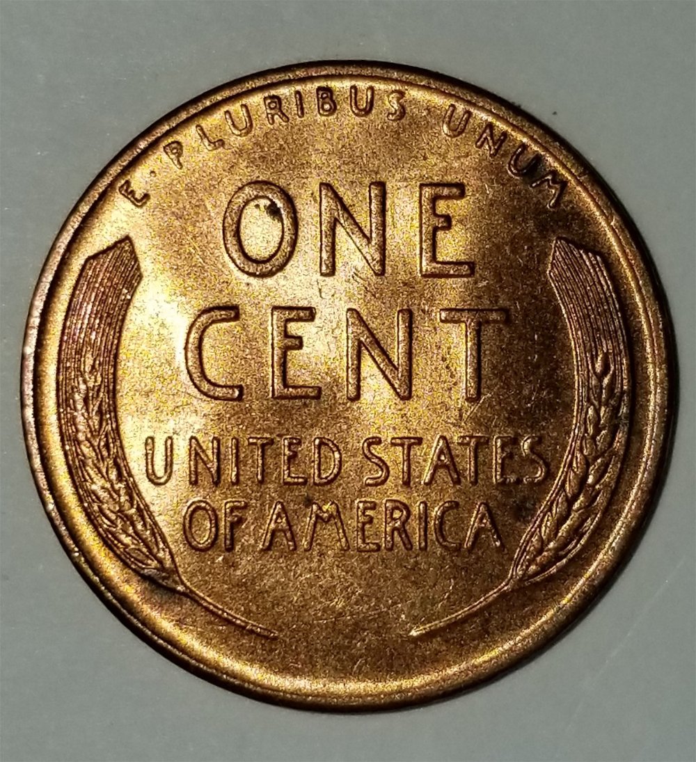 1956-D-Lincoln-Wheat-Found-In-My-First-Coin-Box.