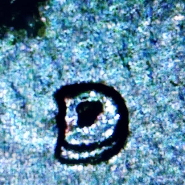1971-D-Kennedy-Half-Dollar.-Possible-RPM?