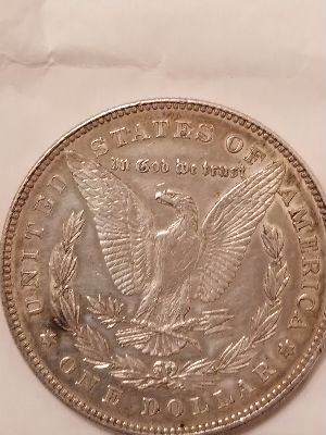 Need-Help-With-A-1878-Morgan-Dollar.