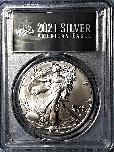 G-L-B-49's-American-Silver-Eagle-Collection