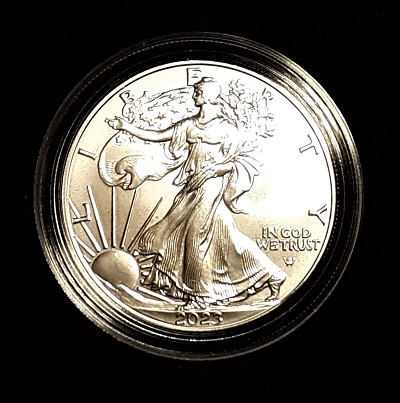 G-L-B-49's-American-Silver-Eagle-Collection