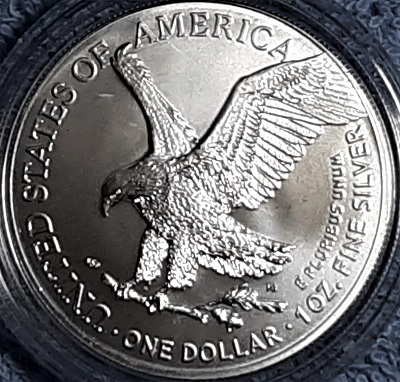 G-L-B-49's-American-Silver-Eagle-Collection
