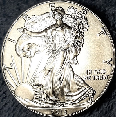 G-L-B-49's-American-Silver-Eagle-Collection