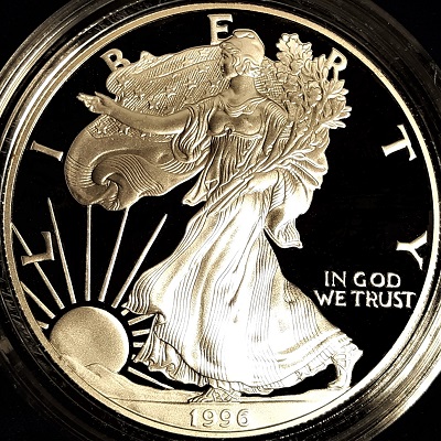 G-L-B-49's-American-Silver-Eagle-Collection