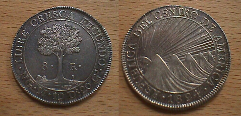 Numismatic-Forgery-1776-8-Reales
