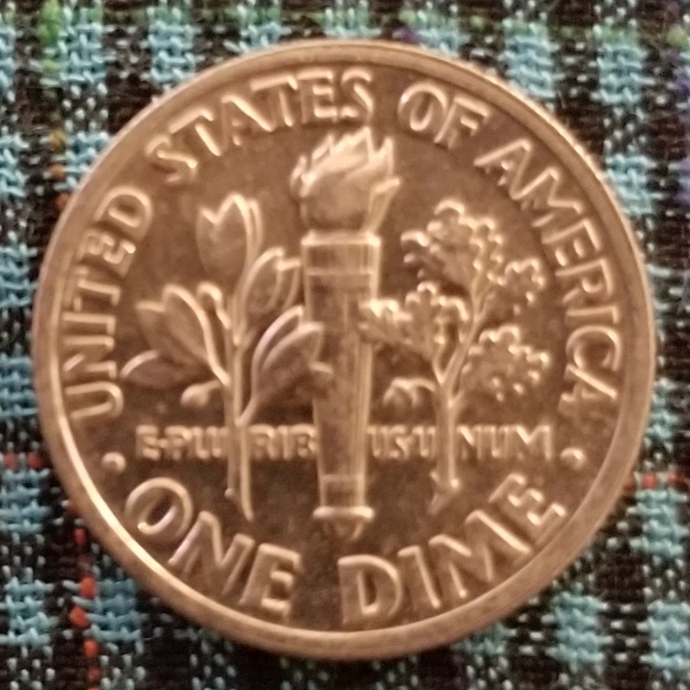Does-This-Coin-Has-Any-Value?-Roosevelt-Dime