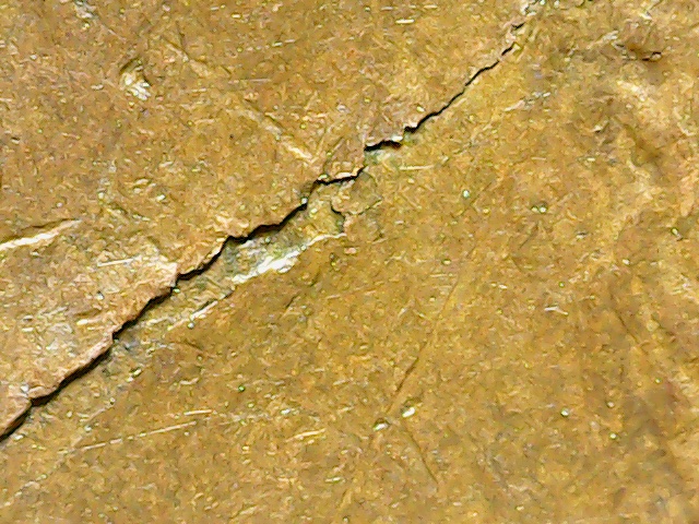1974-D-Lincoln-Cent.rim-To-Rim-Die-Crack-W/2-Retained-Cuds
