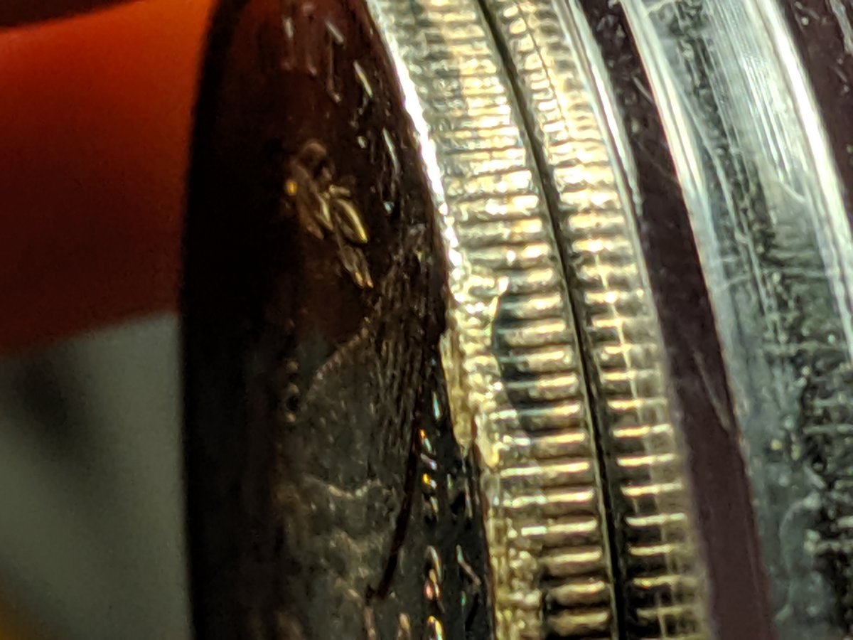 1884-O-Morgan-Plated?