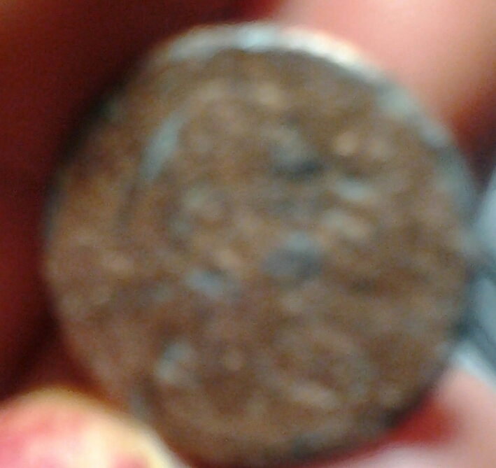 Please-Tell-Me-If-This-Cent-Is-Anything-Special?