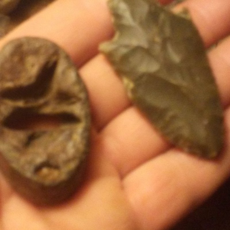 Is-This-A-Seal?-Found-By-Creek-Bed-In-Thompsonville-Illinois-Its-Not-Magnet