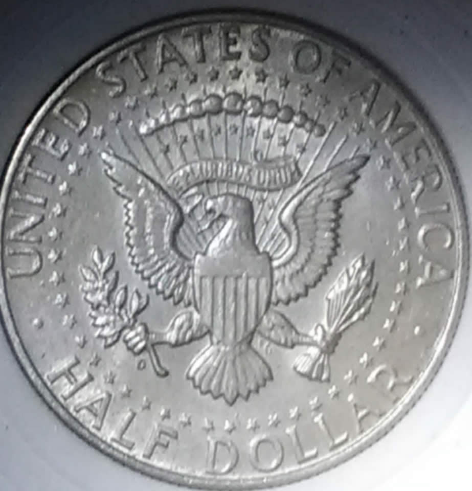 1964-D-Kennedy-Half-Dollar-For-Grading