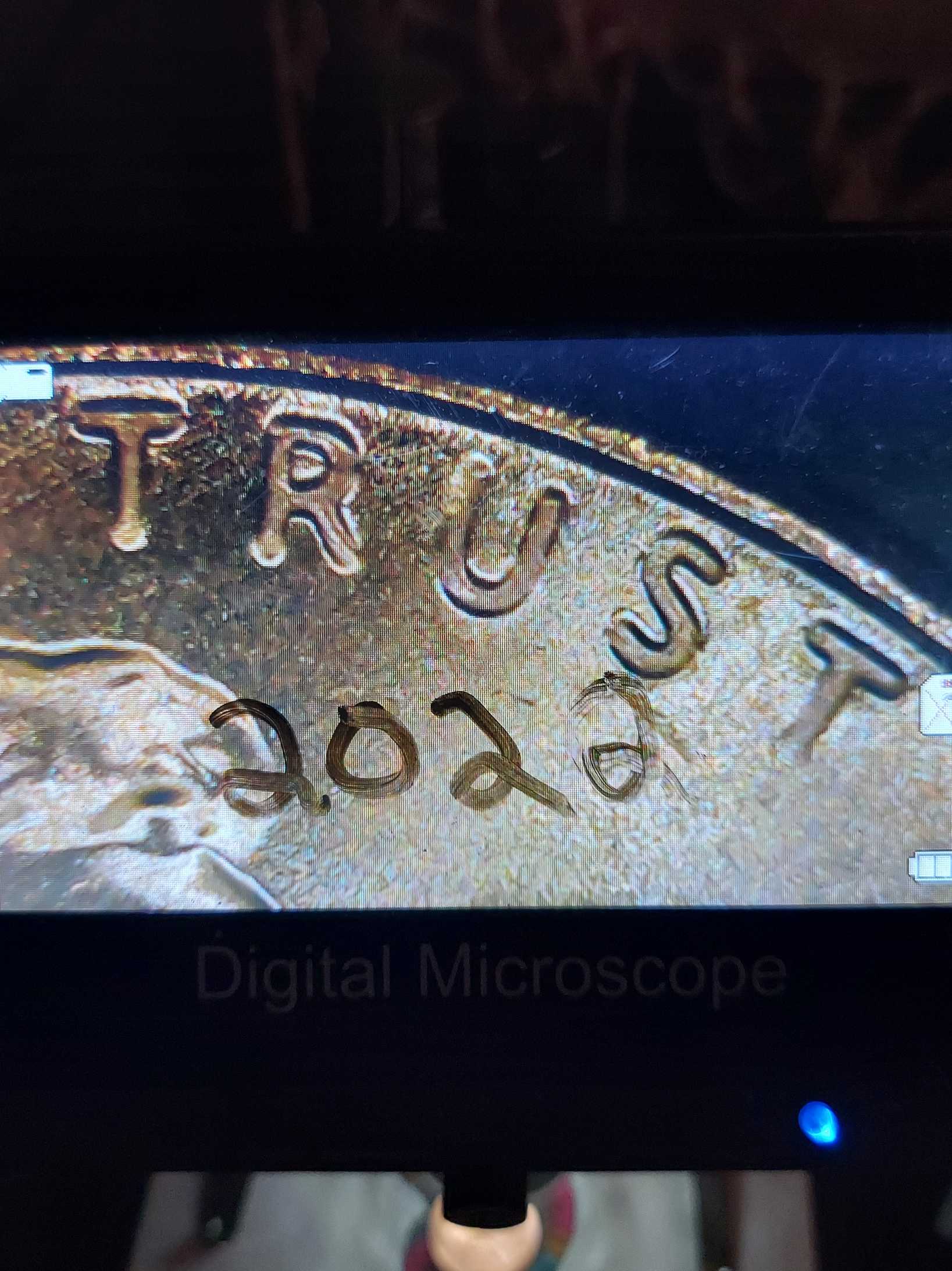 2023-D-1-Cent-Possible-New-Error?