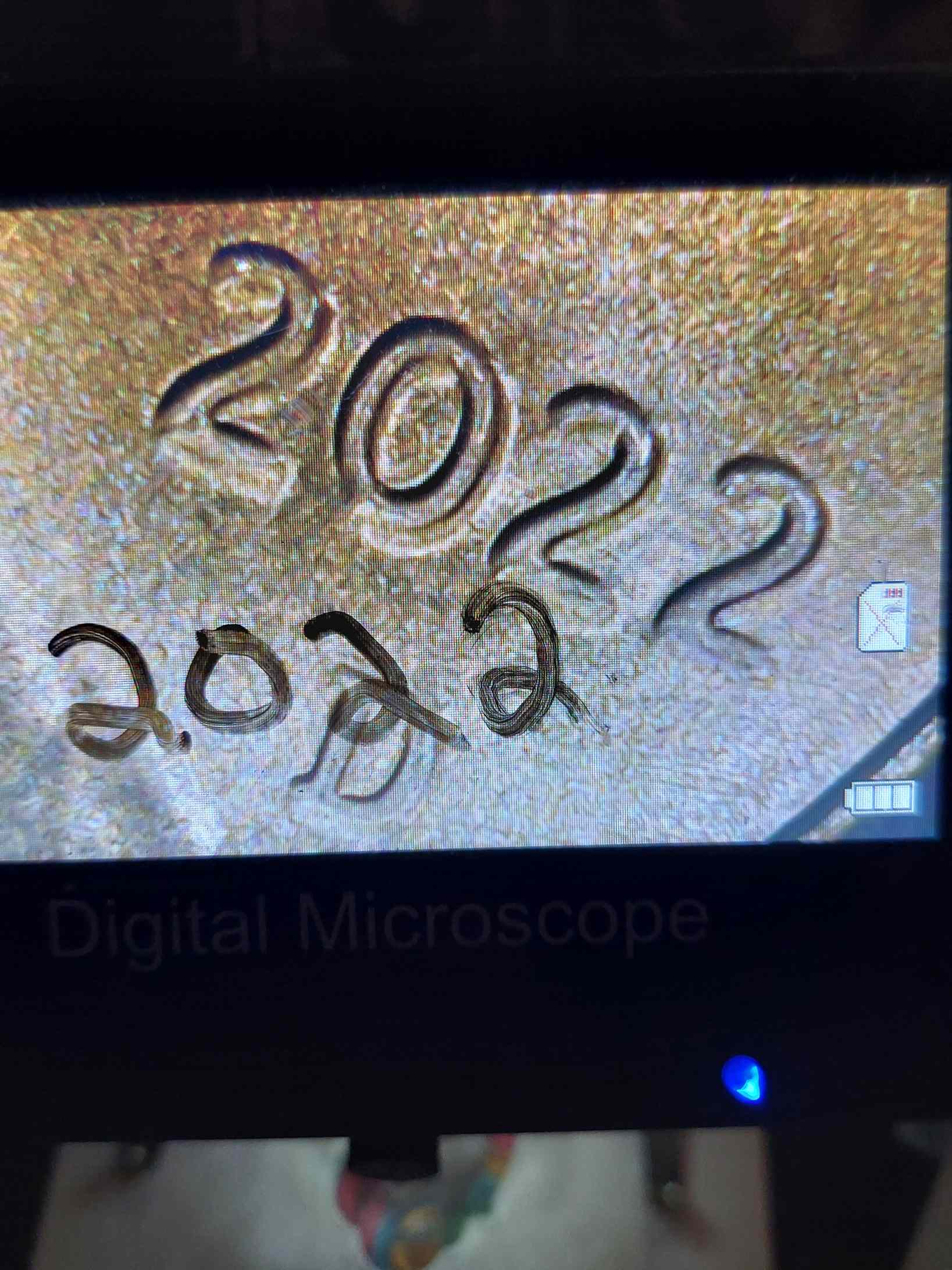 2023-D-1-Cent-Possible-New-Error?