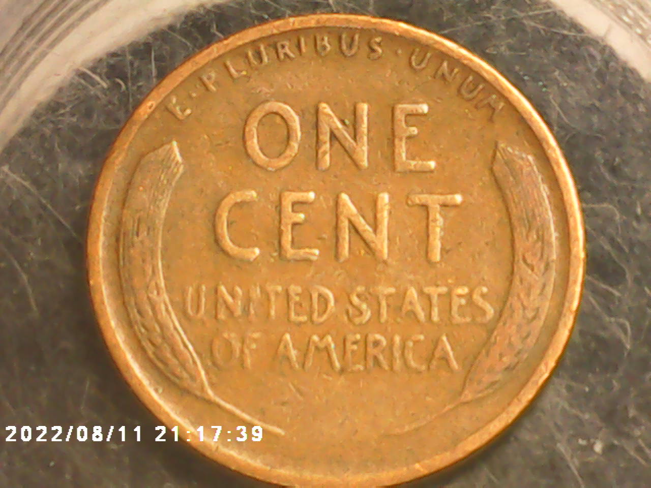 Grandpa's-Coins,-Grandpa-Was-A-Professor-Of-Economics,--And-Loved-Coins,-Far-More-Than-A-Hobby.lol