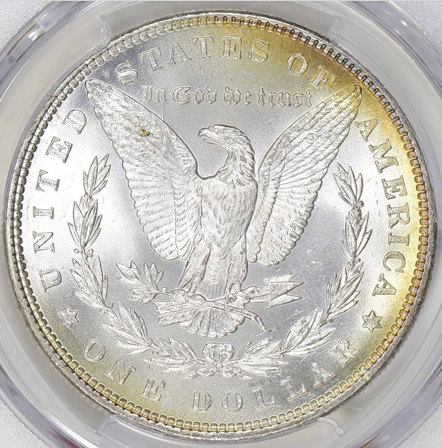 1885-Morgan-You-Vs.-PCGS