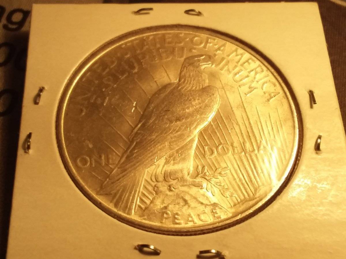 1922-Peace-Dollar-For-Grading