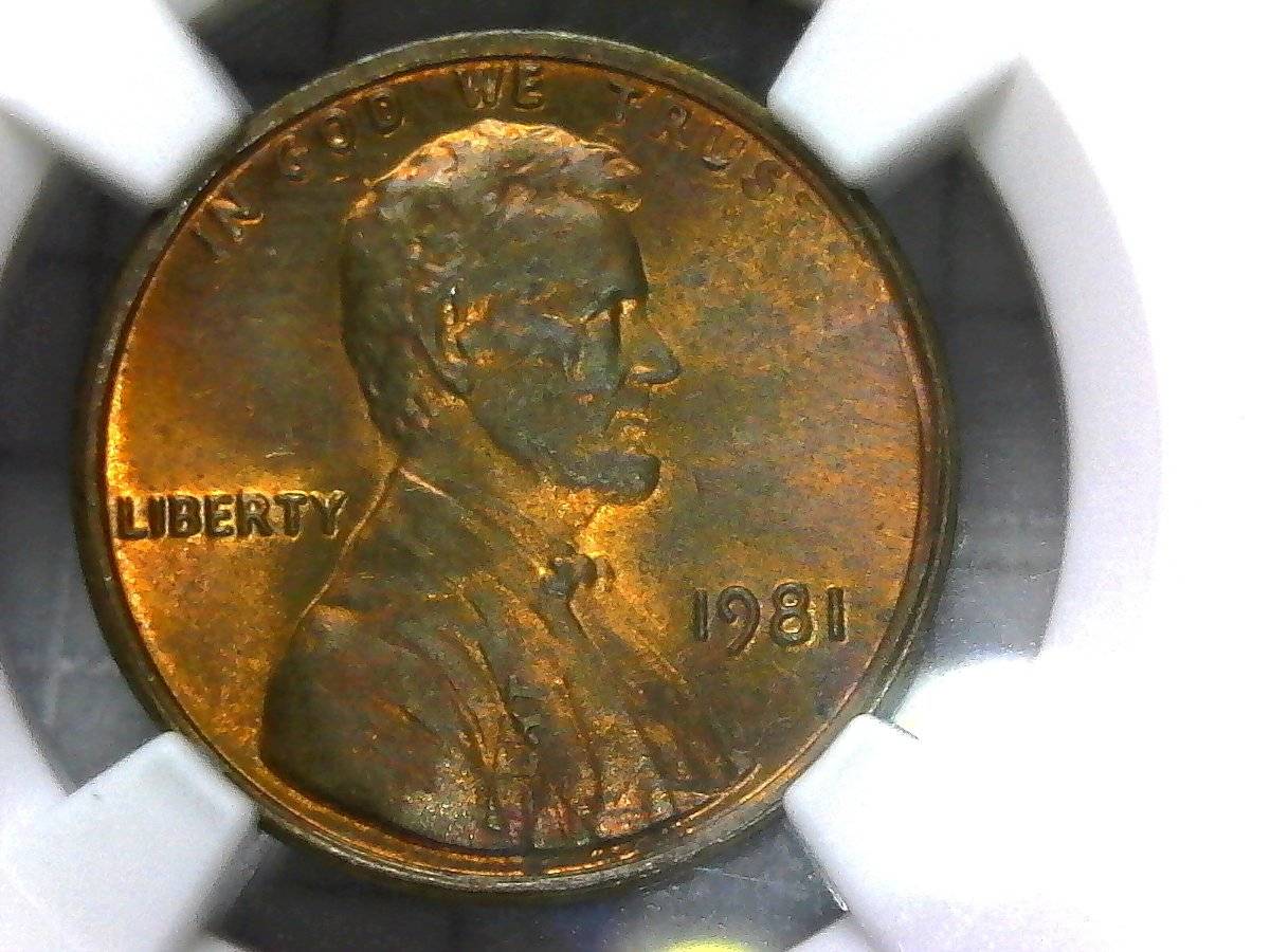 1981-LMC-You-Vs-NGC.-Dbl-Stk-In-Collar