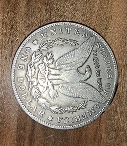 How-Do-You-All-Recognize-A-Fake-Morgans?
