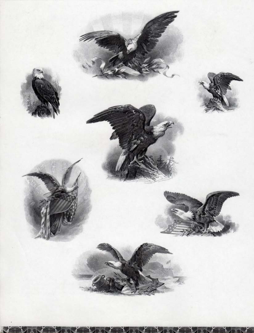 Bald-Eagle-Vignettes