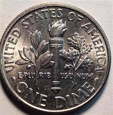 2016-Roosevelt-Dime-Die-Chip-Bug-On-A-Leaf