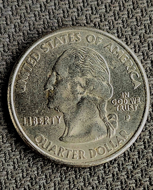 2000-South-Carolina-State-Quarter-What-Am-I-Seeing-Is-That-A-DD