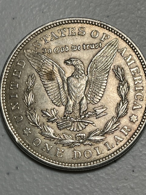 1921-Morgan-Dollar-For-Grading