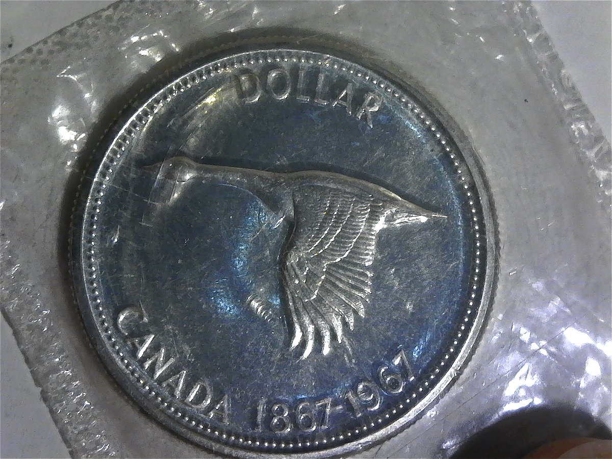 First-Canadian-Coin---1967-$1--Do-I-Leave-It-In-The-Cello?