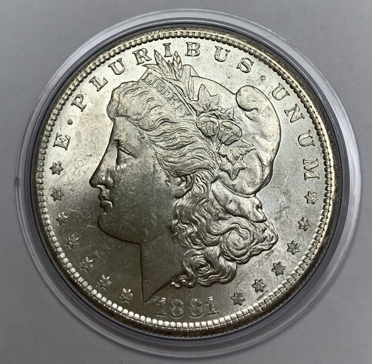 Help-Grading-My-Coins:-No.-9---Morgan-Dollar-1881---S