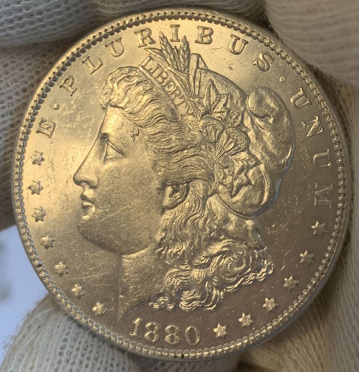 Grade-My-1880-P-Morgan-Dollar!