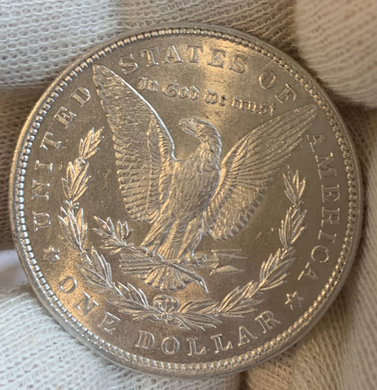 Grade-My-1880-P-Morgan-Dollar!