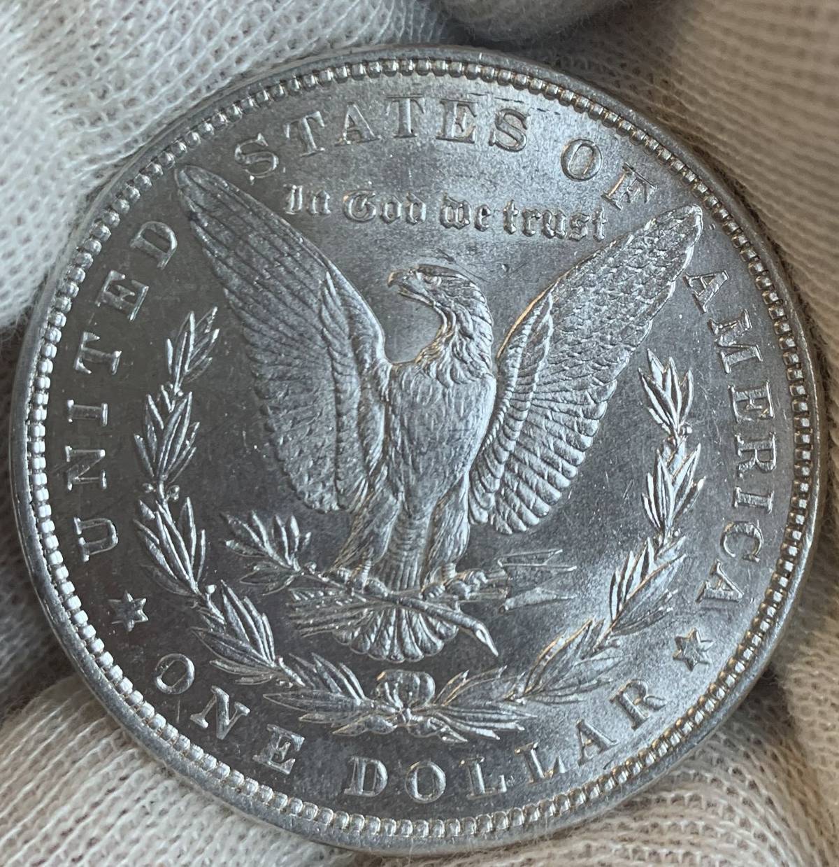 Grade-My-1880-P-Morgan-Dollar!