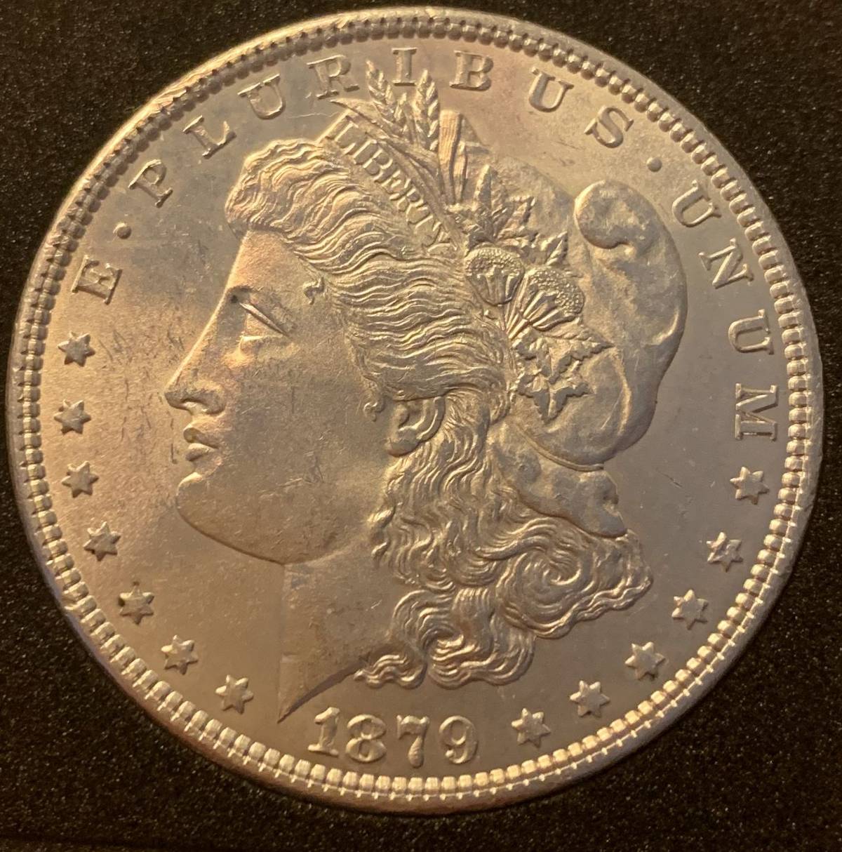 Grade-My-1879-P-Morgan-Dollar